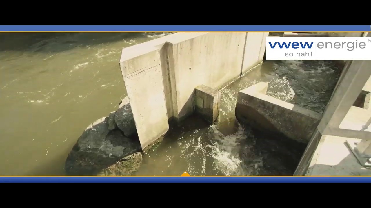 Fischtreppe: Wie der Fisch flussaufwärts kommt