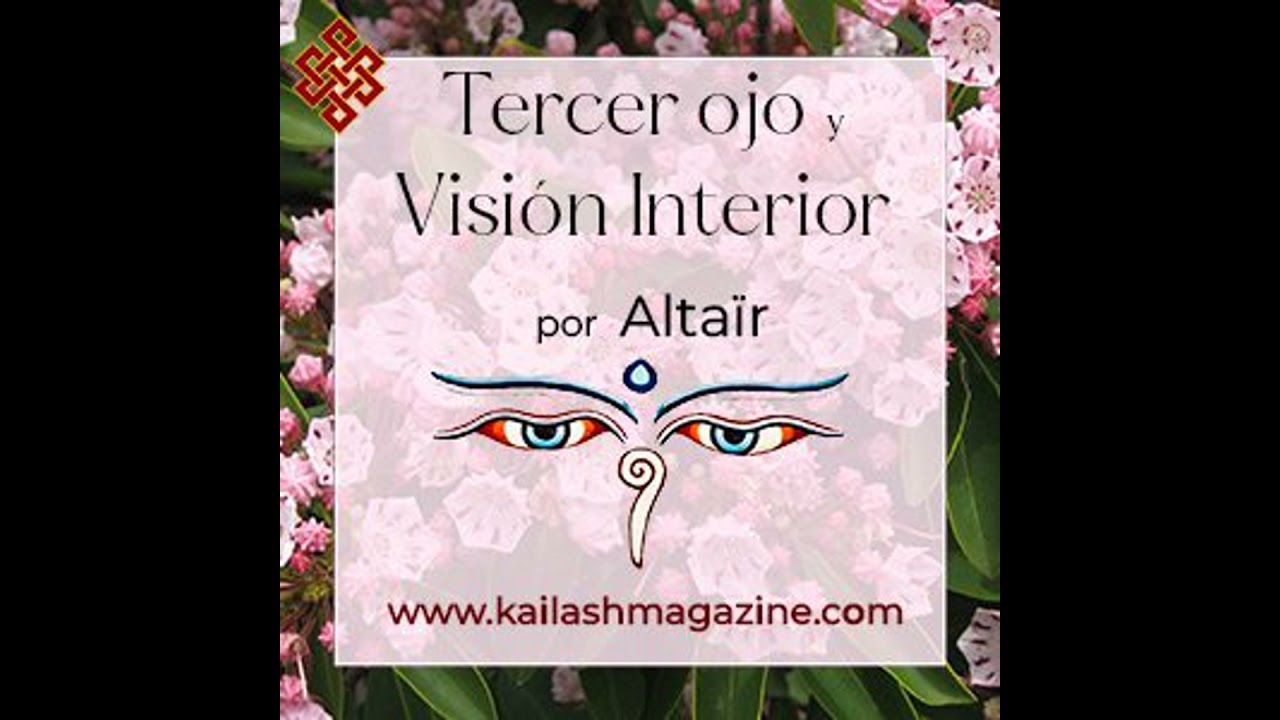Percepción Sutil 7: Más allá de la vida
