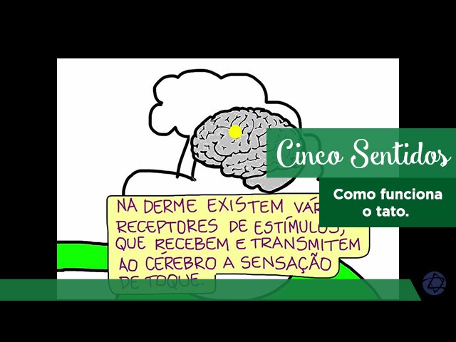 Como funciona o tato.