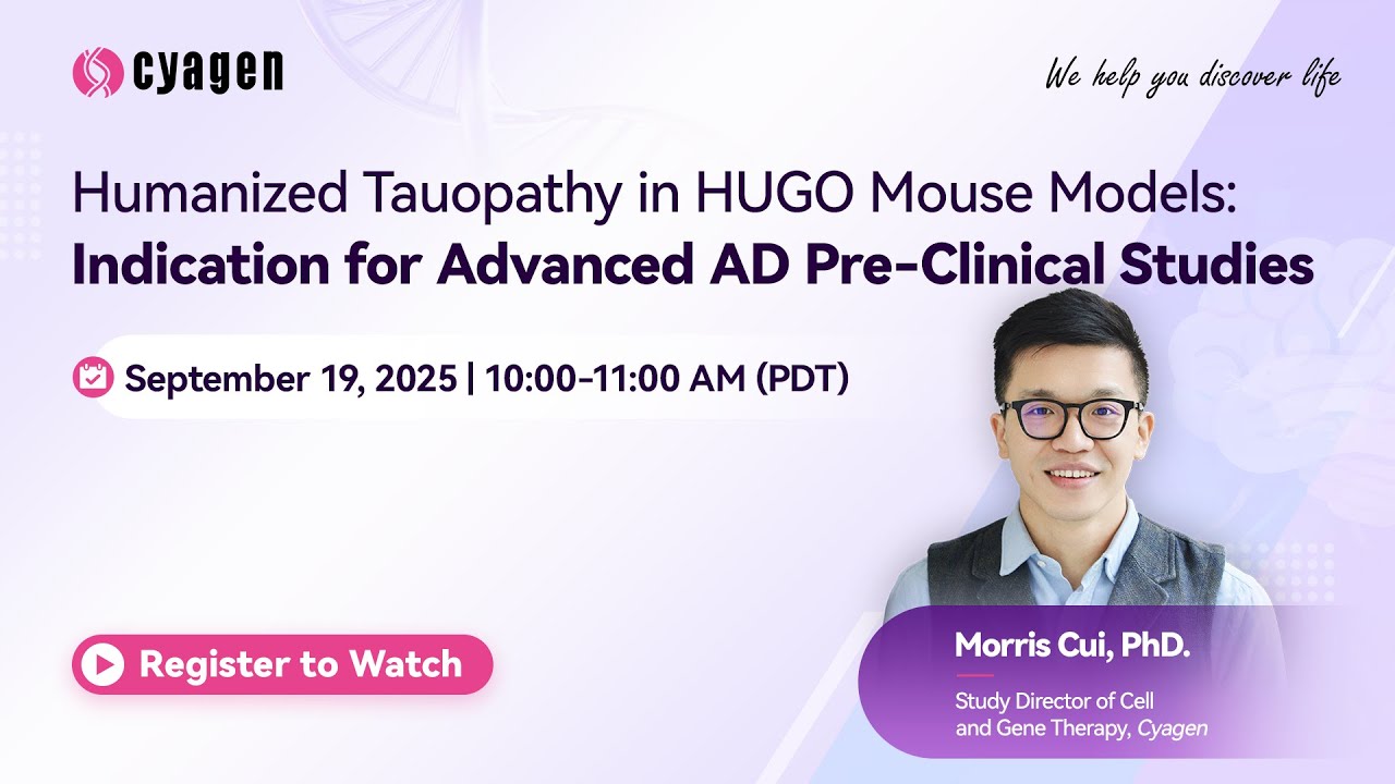 Humanized Tauopathy in HUGO Mouse Models: Indication for Advanced AD Pre-Clinical Studies