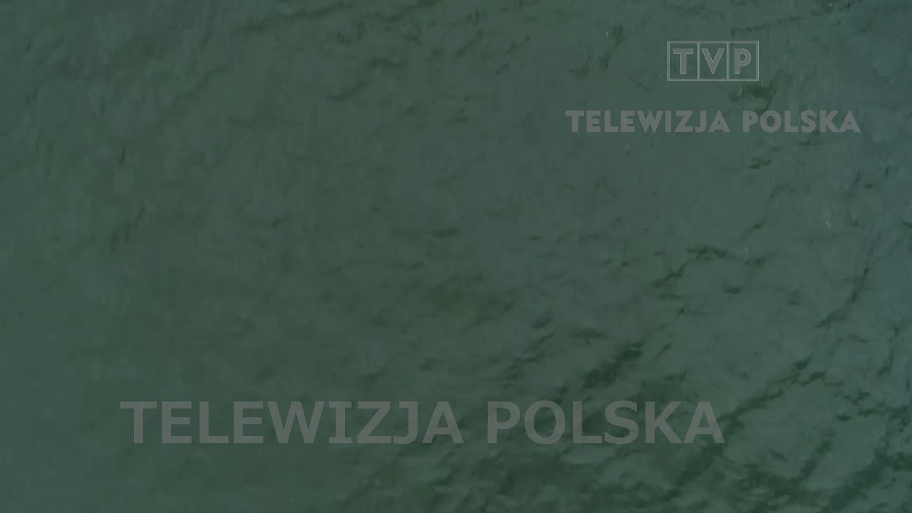 997 sprawa Patryka Palczyńskiego
