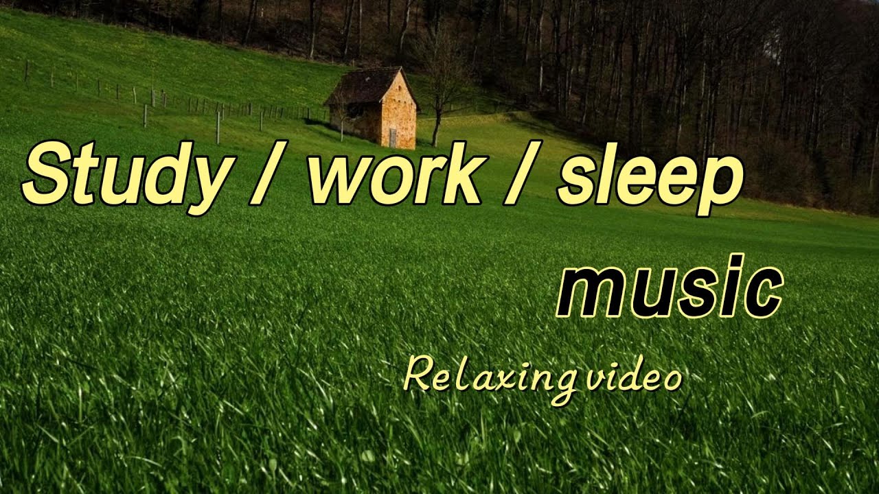 When the wind blows, it takes away the troubles.#funny #youtube #relax #sleep