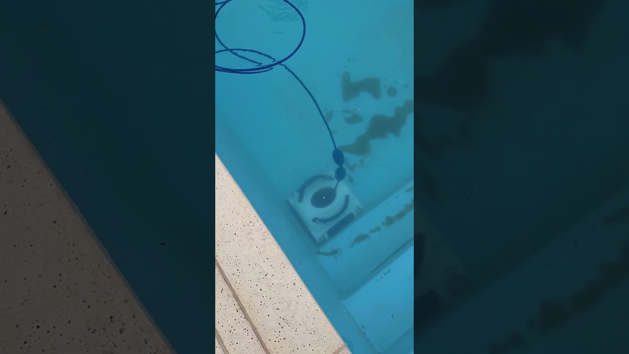 Робот Dolphin Pool Up для бассейнов до 8 метров #dolphin #чисткабассейнов #обслуживаниебассейнов