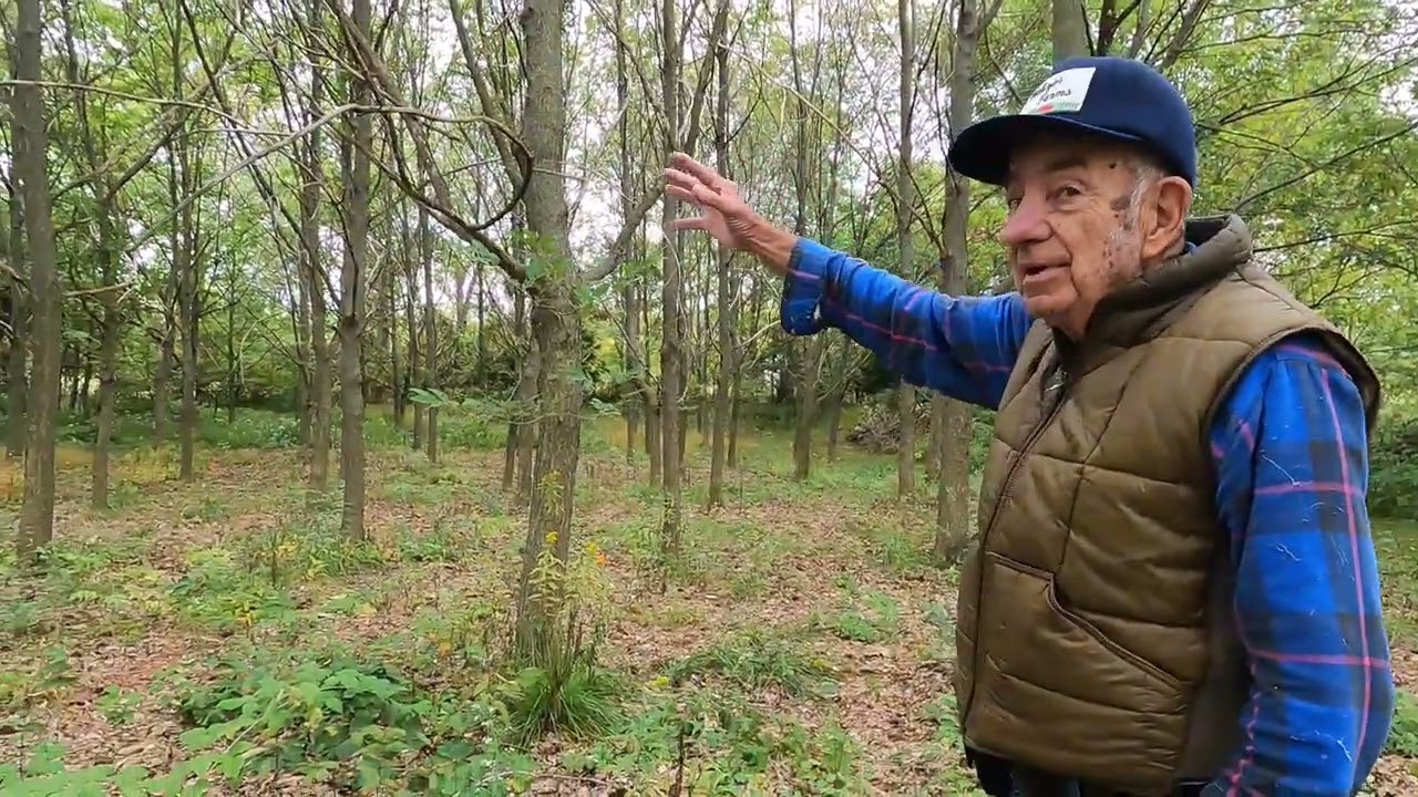 Is there HOPE for the AMERICAN CHESTNUT? w/ Jim Walizer (Conservation Corner)