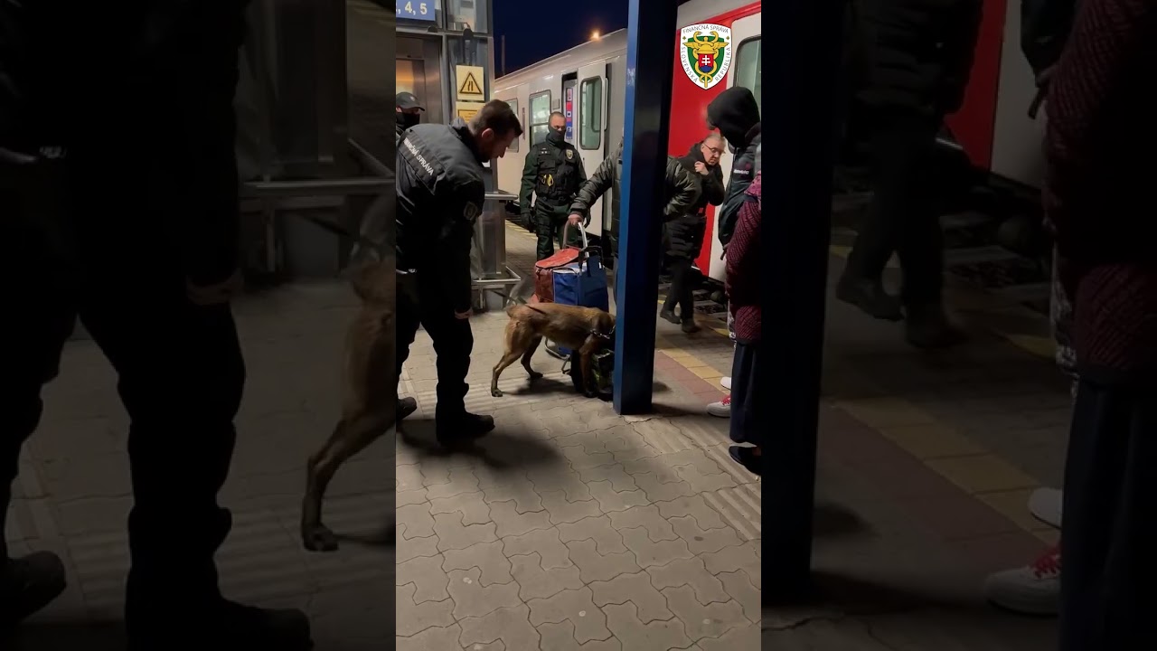 Tašky plné cigariet schovávali vo vlaku