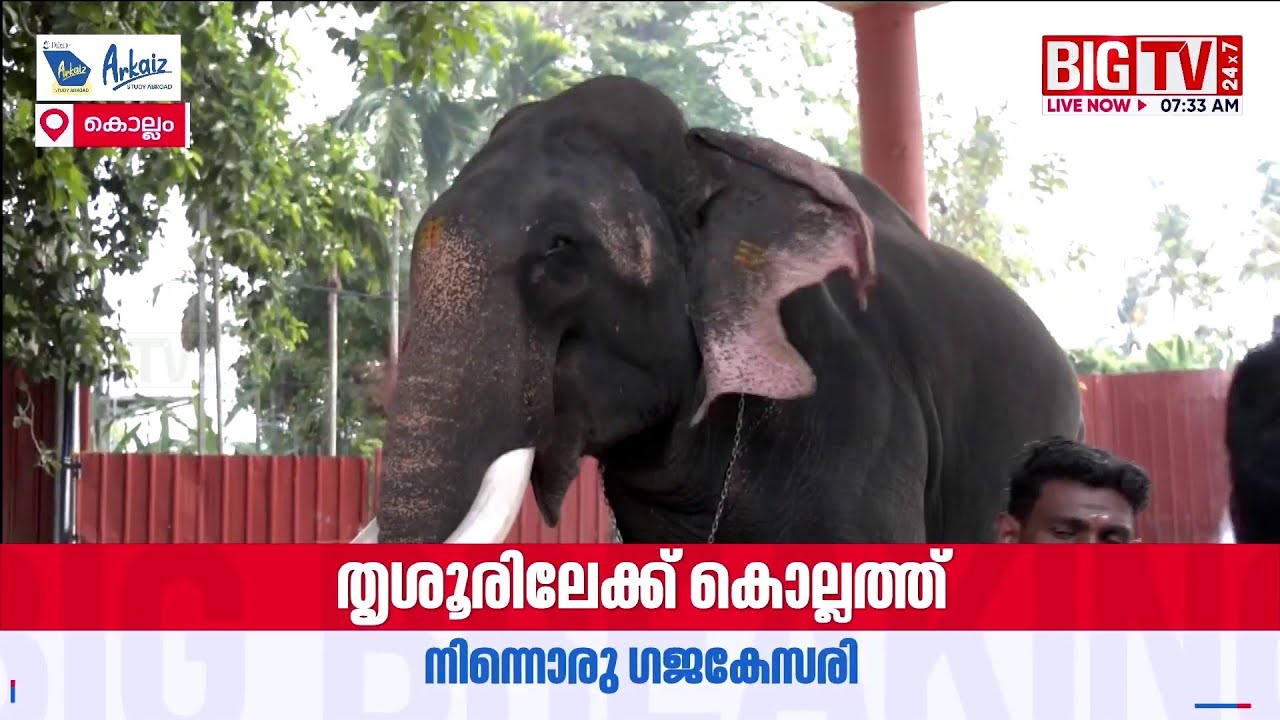 A Gajakesari from Kollam to Thrissur | Thrissur Pooram