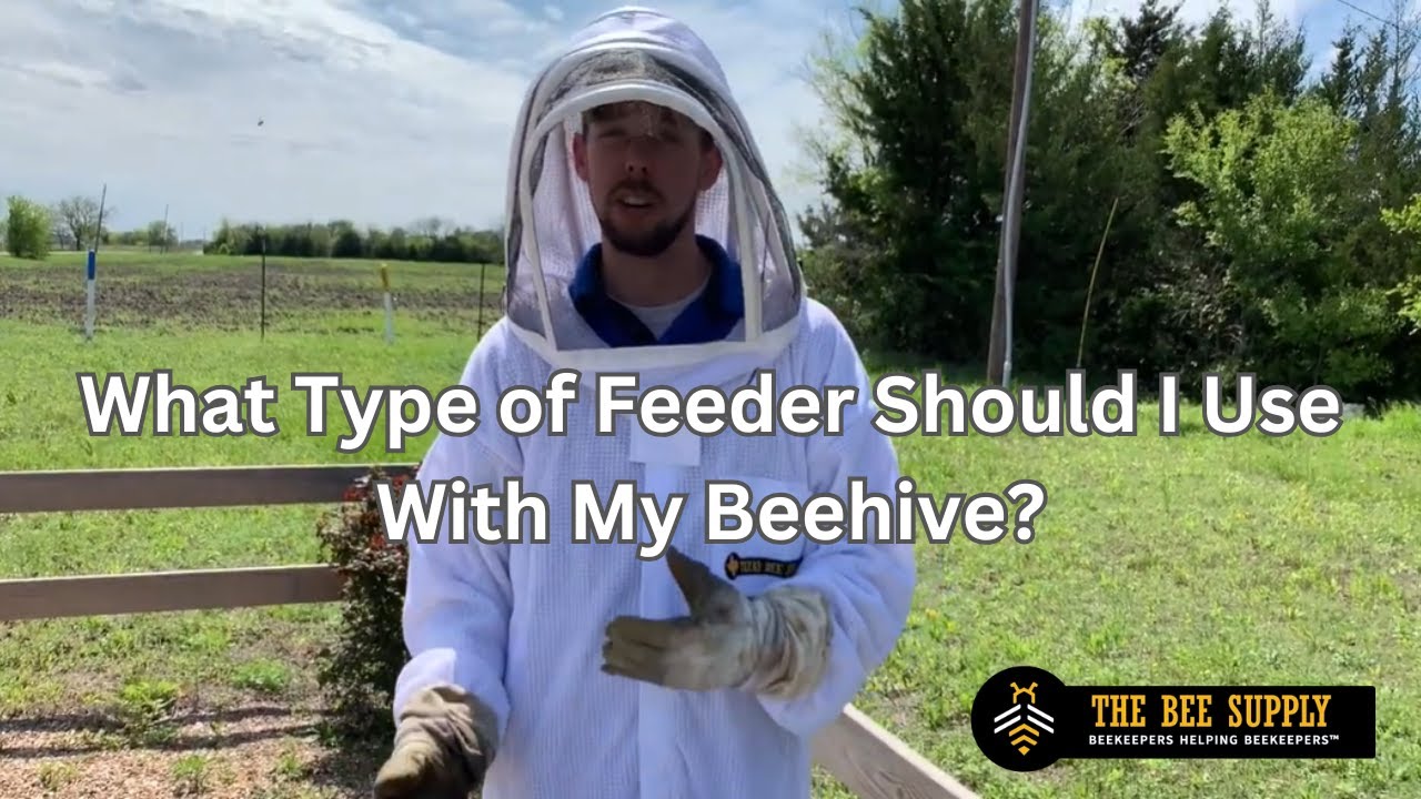 BEEKEEPING: What Type of Feeder Should I Use With My Beehive?