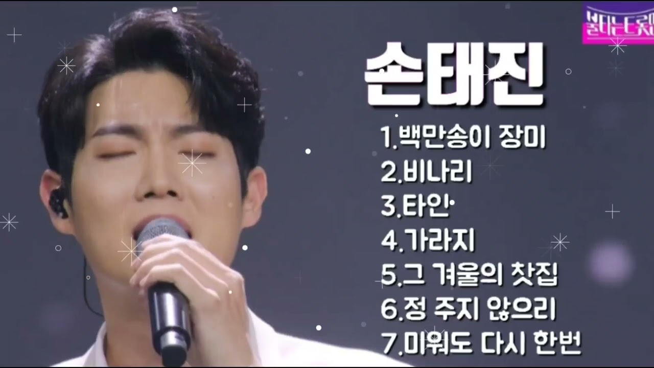 손태진💞 1.백만송이 장미 2.비나리(황영웅) 3.타인.4.가라지 5.그 겨울의 찻집 6.정 주지 않으리 7.미워도 다시 한번🍀불타는트롯맨!