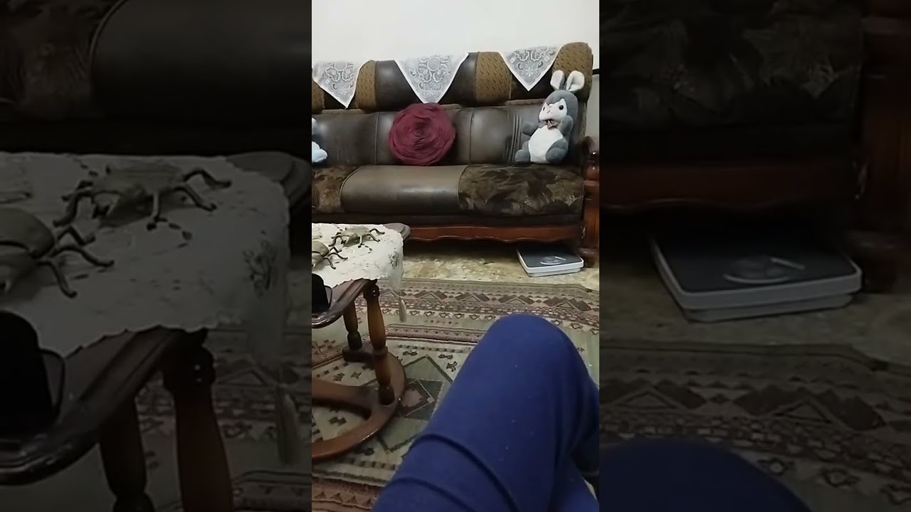 صباح الفل والجمال علي احلي ايام رمضان