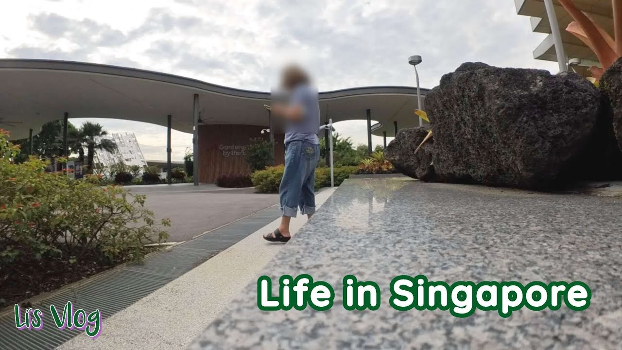 Vlog - Life in Singapore | Days in Jun 2025 of an introvert 