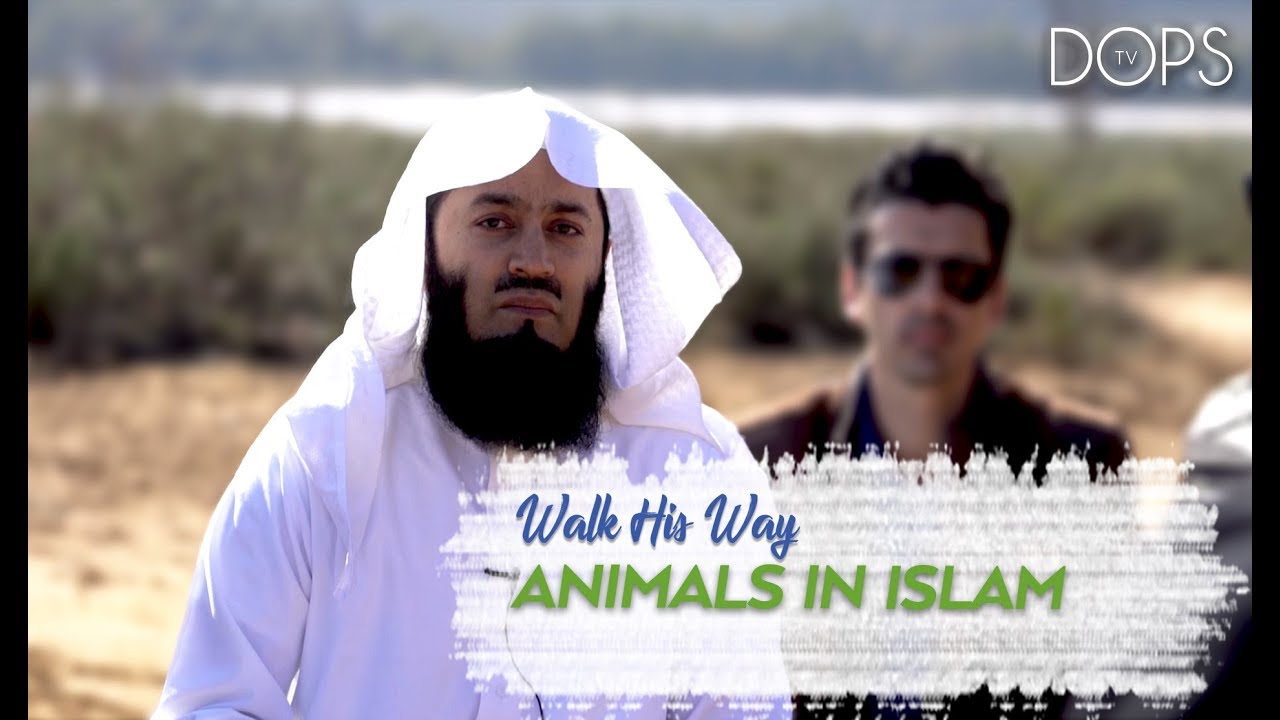 ANIMALS IN ISLAM | MUFTI ISMAIL MENK