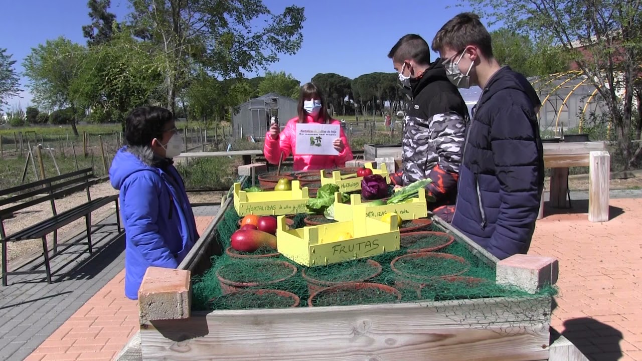 Proyecto Sendero Verde