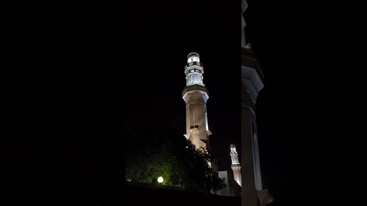 ٥ فبراير ٢٠٢٦