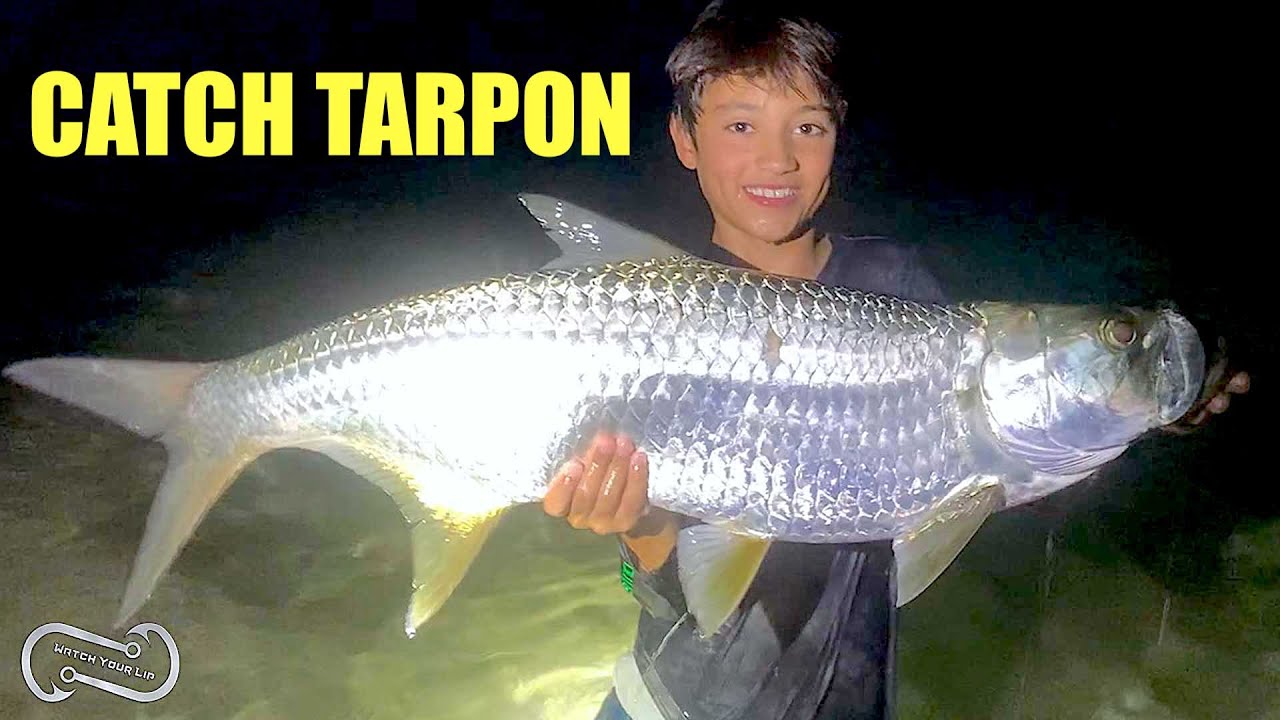 HOW TO CATCH TARPON ON THE BEACH - Hooking the 