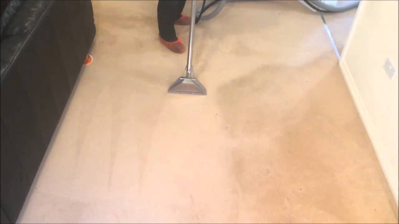 Carpet Cleaning - Red Dragon Rug Spa