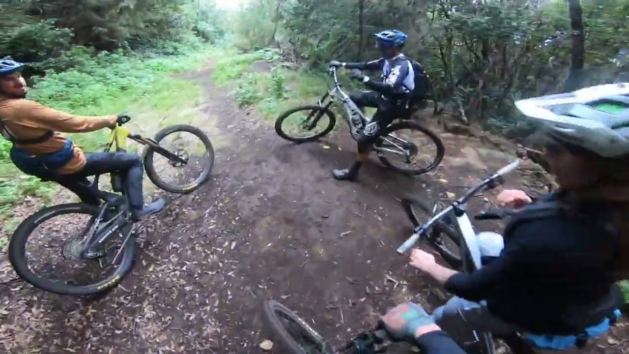 La Palma - Fast and steep trail