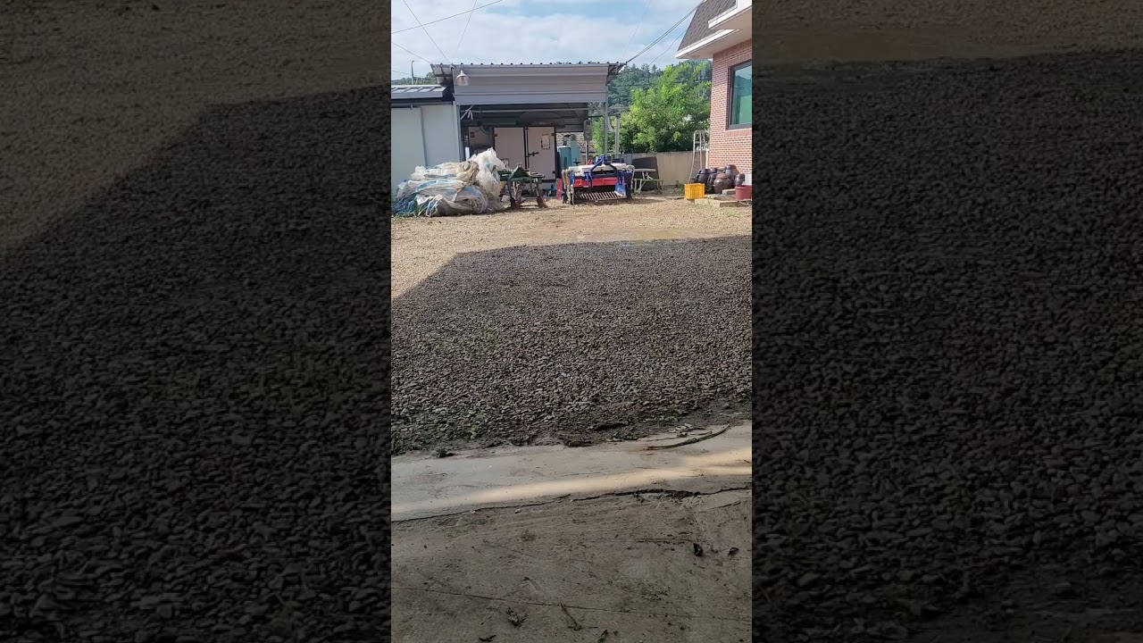 [GoInDol] August 10, 2025 - Risk of cutting garlic scapes by machine