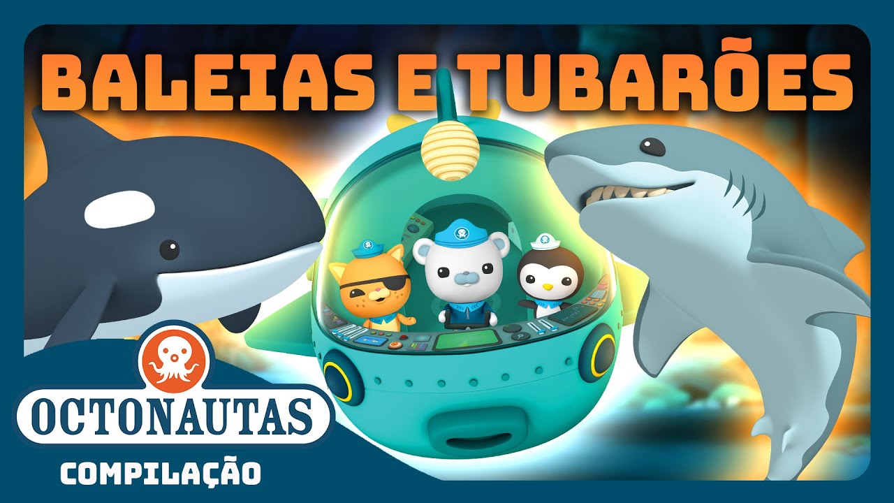 Oktonauci - 🐋 Wieloryby i rekiny 🦈 Podmorskie eksploracje | Kompilacja | Całe odcinki