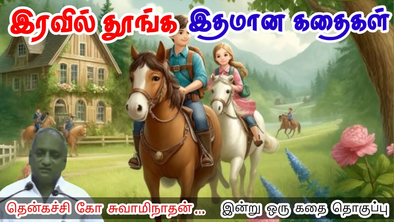 அனுபவங்களின் தொகுப்பு | மன அழுத்தம் நீங்கி கவலைகள் மறந்து தூங்க | Thenkachi Ko Swaminathan Stories