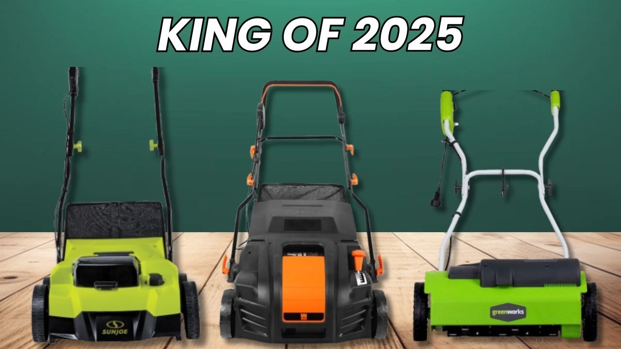 5 Best Lawn Dethatchers- Winners of 2026
