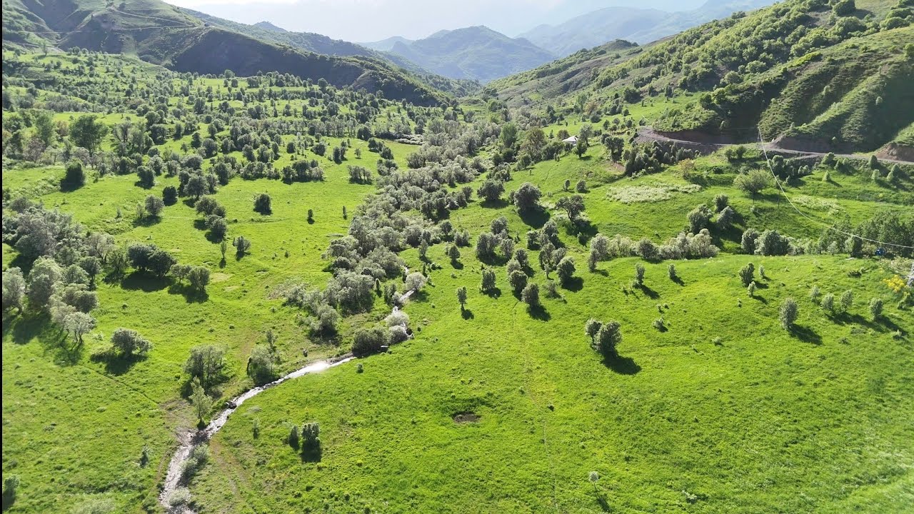 Ha&ccedil;kirek 