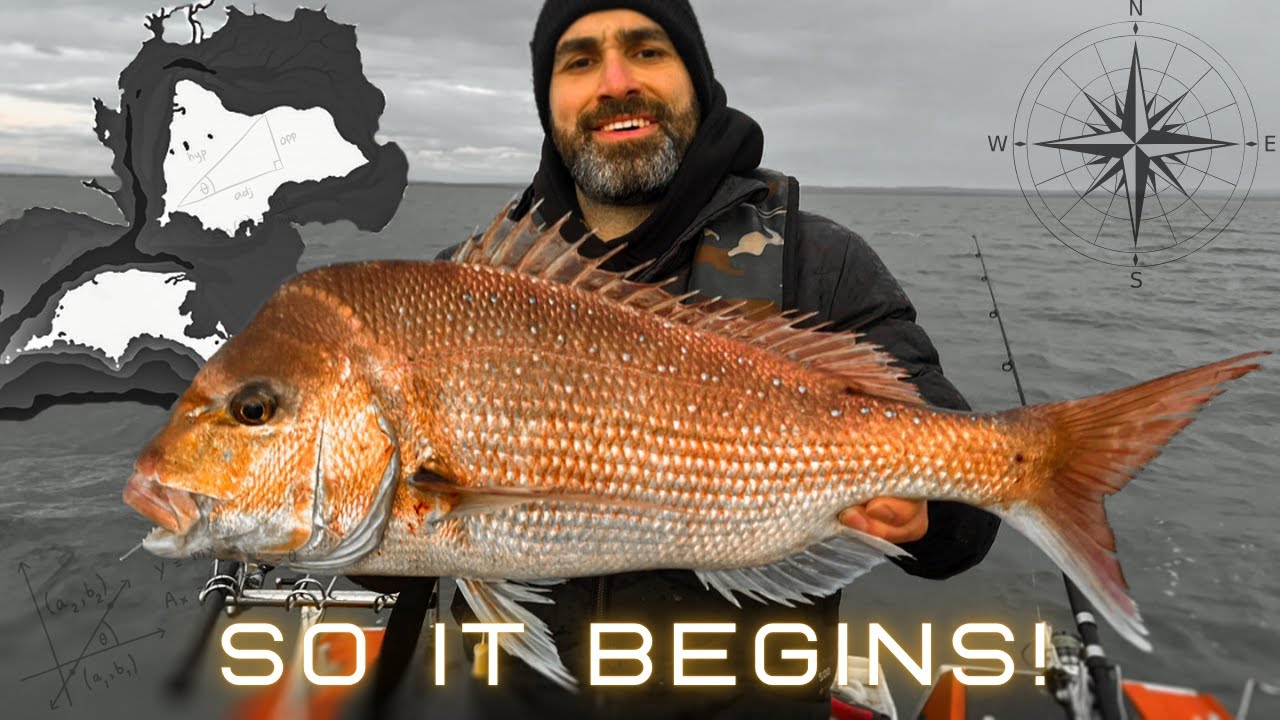 Сезон ловли снежков начинается! — The Tides of Change