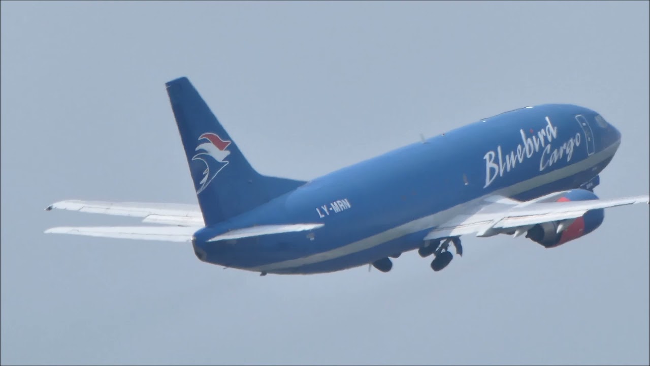 Bluebird Cargo