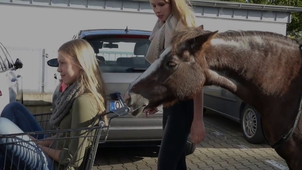 !! Normal ist langweilig - Teil 2 !! // Wandertag mit Lenny zum Markt
