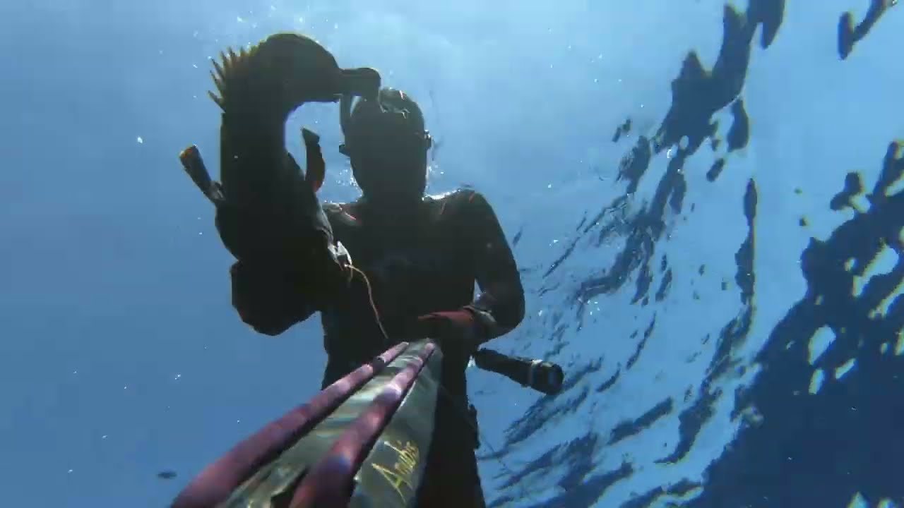 Spearfishing Greece 2025 - Dentex, Dusky Grouper, Goldbloch Grouper