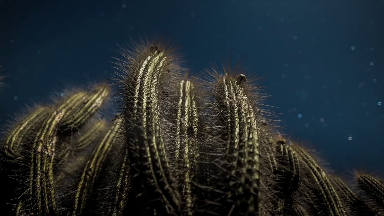 Astrotourism in chile
