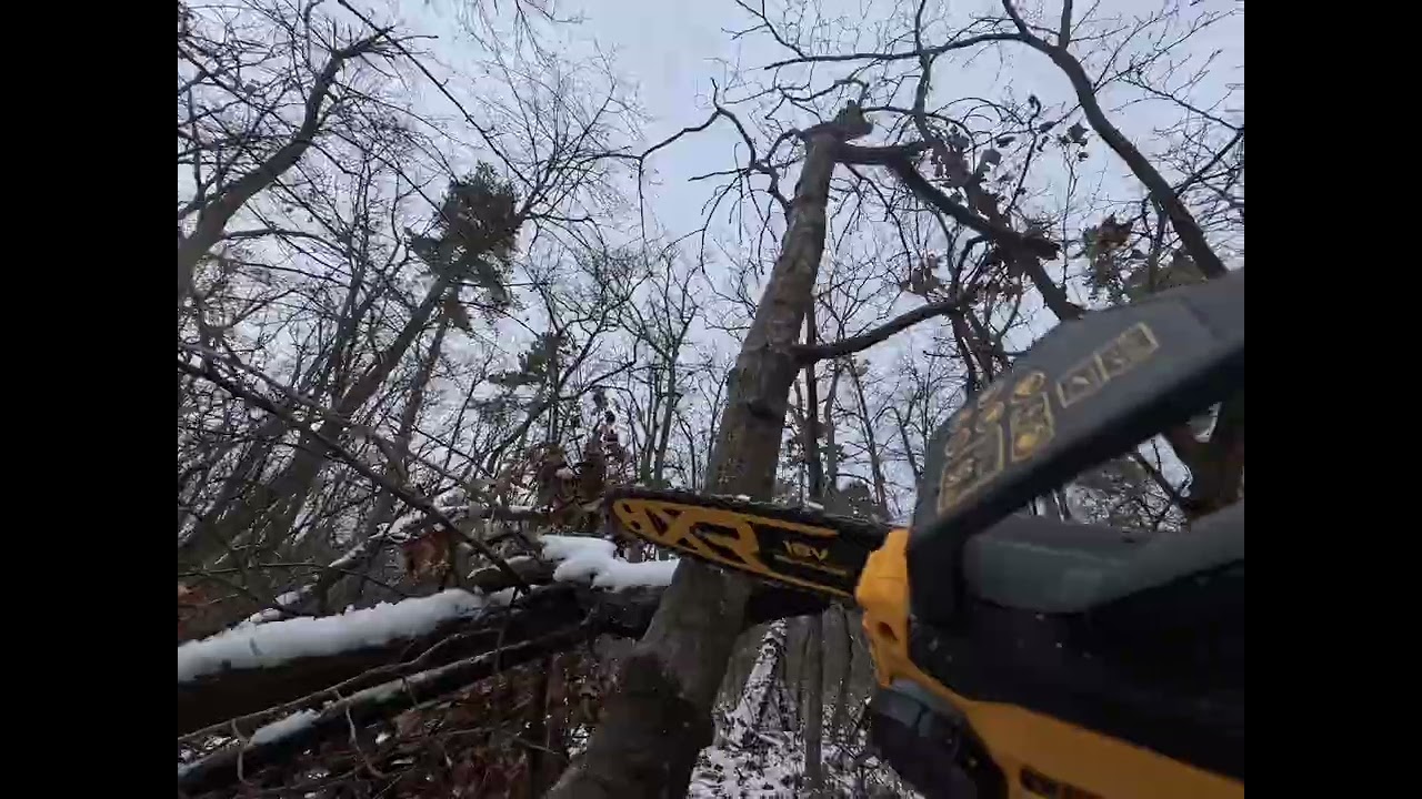 Тест на DeWalt DCMPS520- разчистване на трасенцето в Борисова.