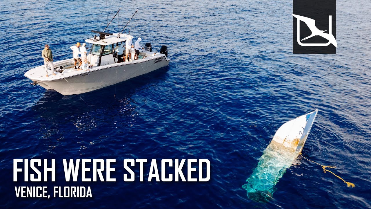 Fishing 90 MILES OFFSHORE for Monsters
