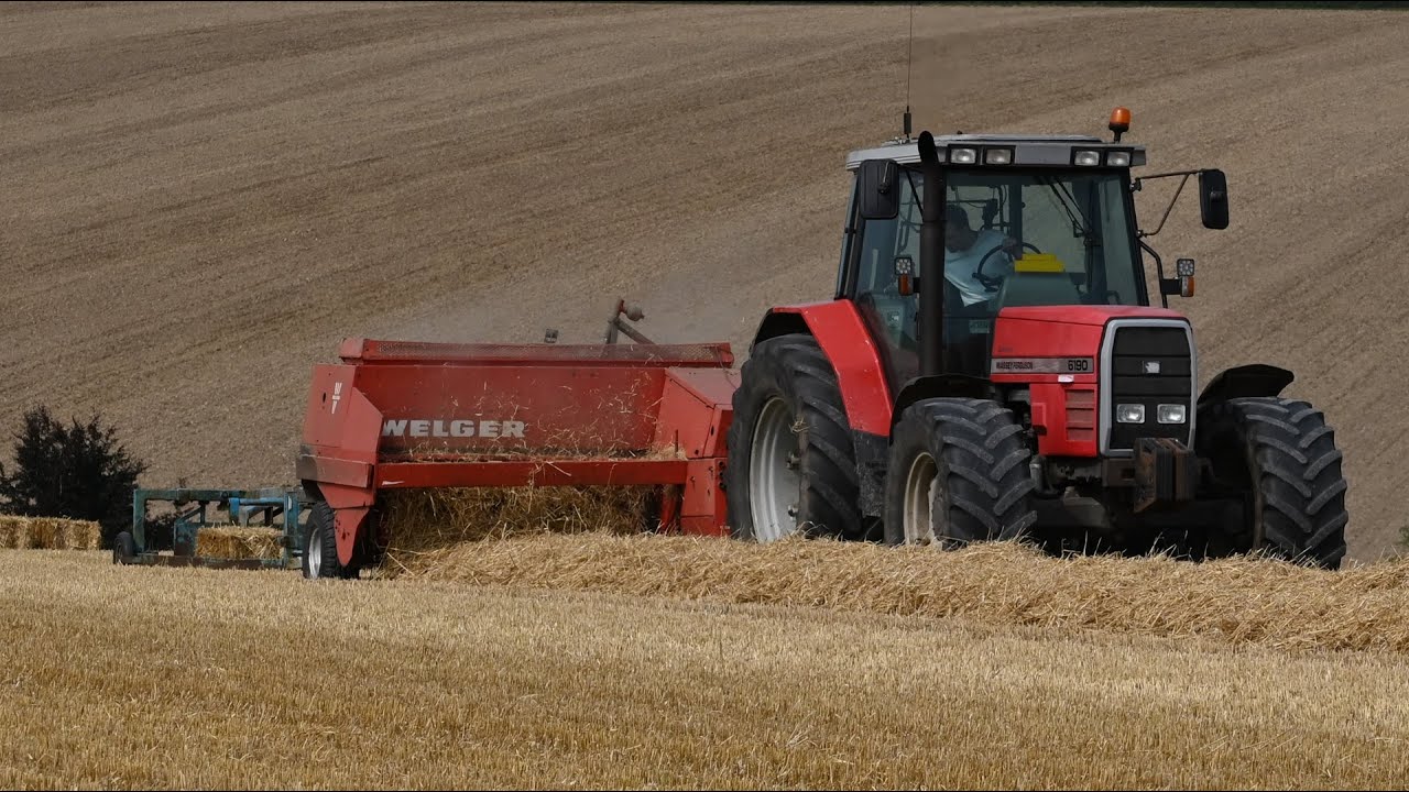 Harvest 2024 - Baling Straw in small bales with Massey Ferguson 6190 and JCB Stacking