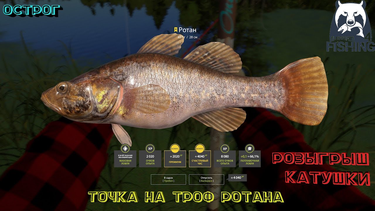 Русская рыбалка 4. Острог. Точка на Троф ротана. Розыгрыш катушки!!!