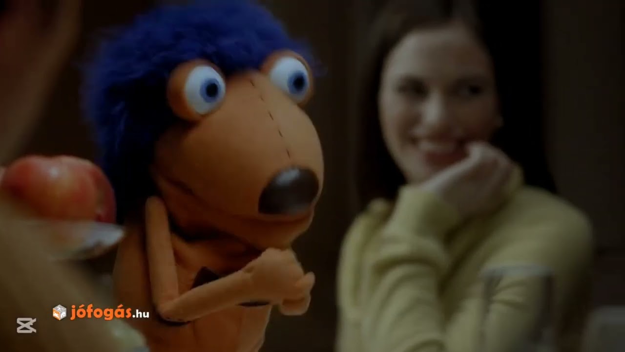 jófogás nállunk gyorsabban eladhat (Huntube Poop)