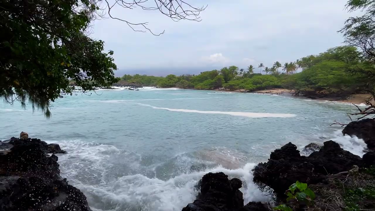 Overlooking Waialea Bay 1 of 2 - Island Horizon Videos 2072