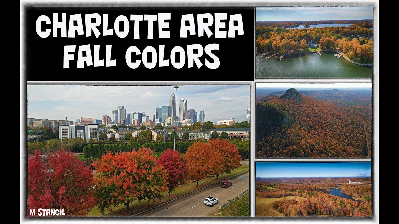 Charlotte Area Fall Colors 4K (DJI Mavic Air 2 Footage) Amazing Fall Footage in & around Queen City!