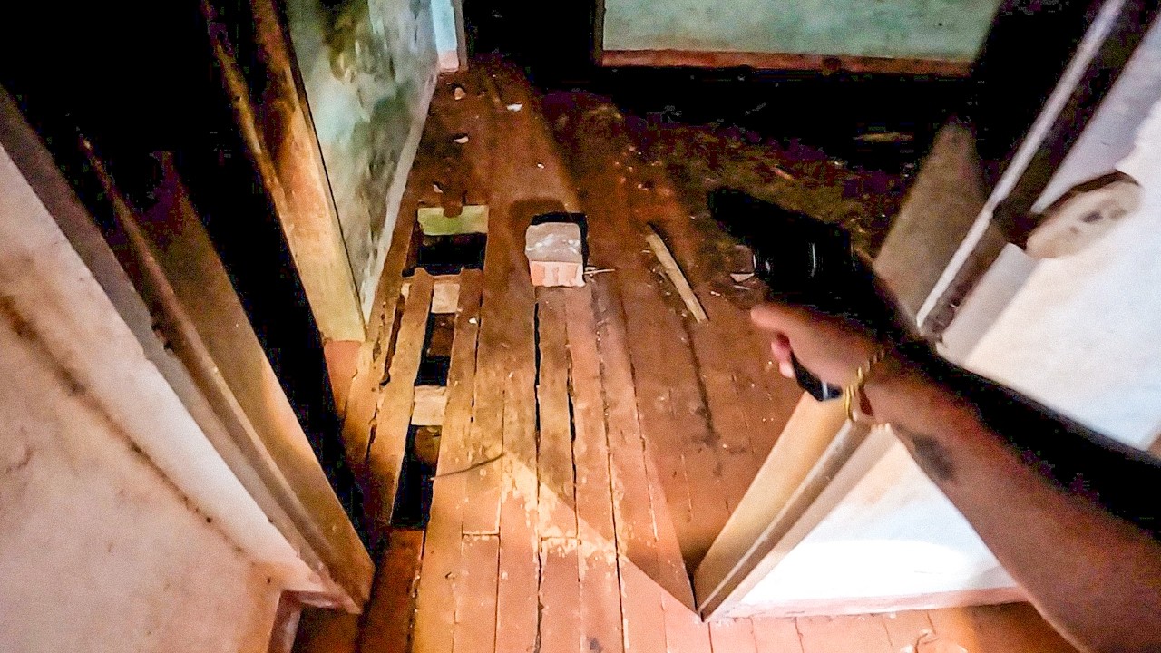 DEPOIS DE MUITO TEMPO VOLTAMOS NA CASA DO APICULTOR