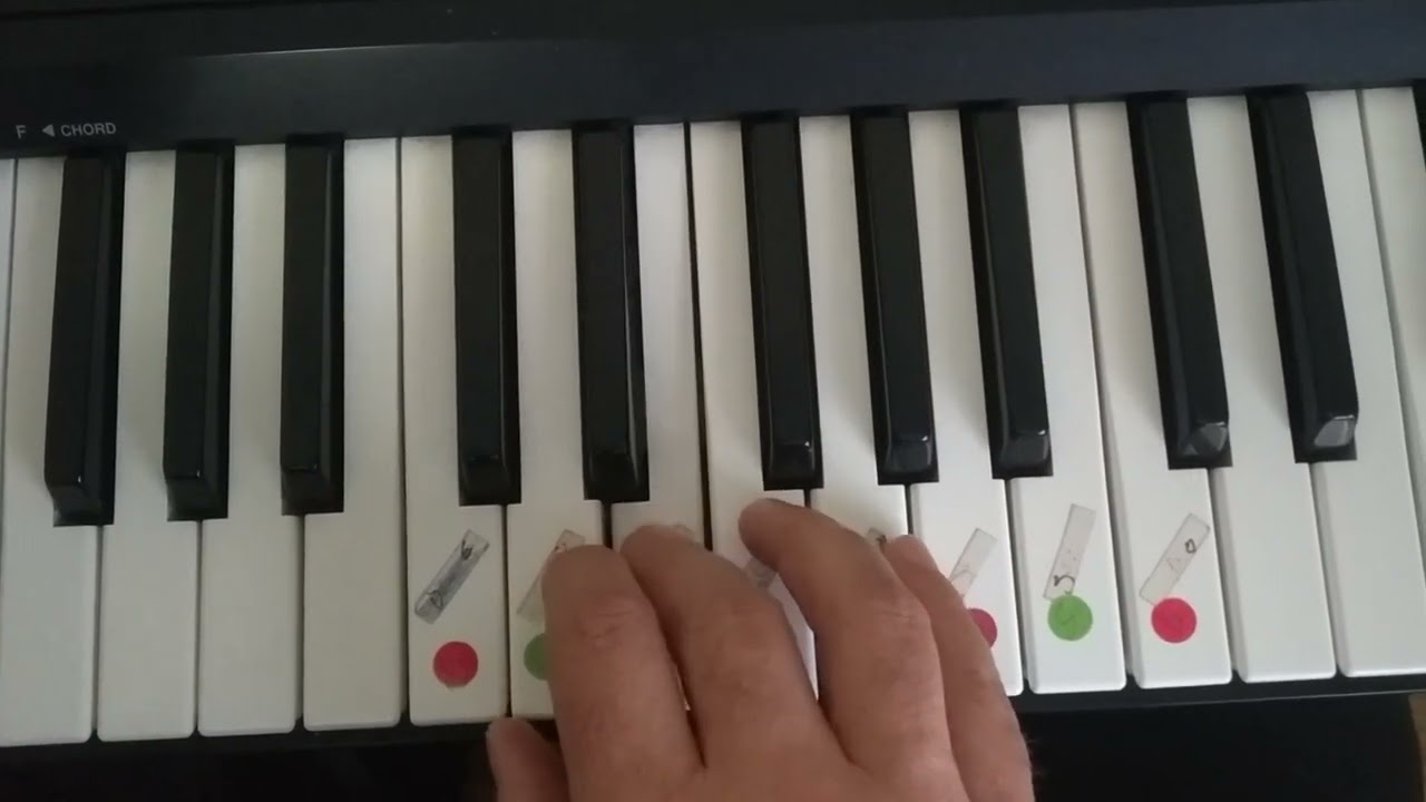 KUŞ UÇAR ŞARKISI MELODİKA İLE ÇALMA