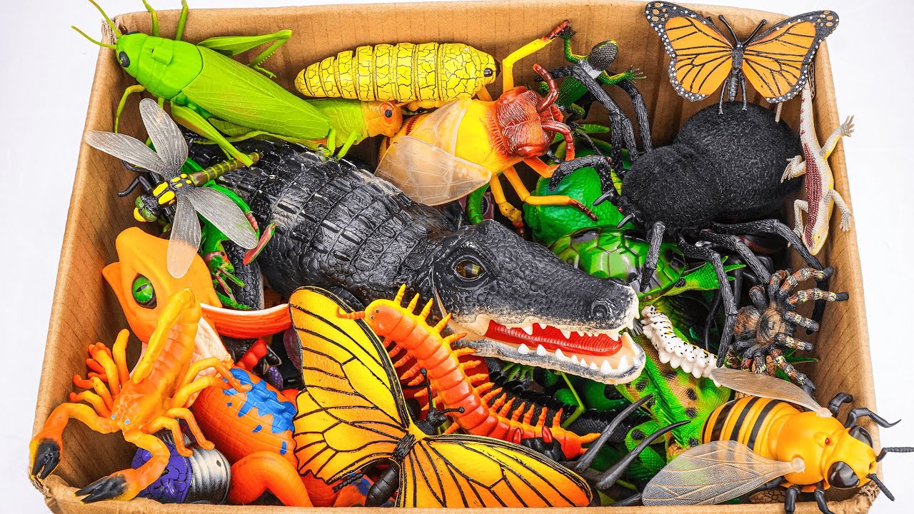 🦎toy asmr🦎 2 Hours ZURU Robo Alive Insect Collection | Giant Crocodile & Butterfly & Lizard
