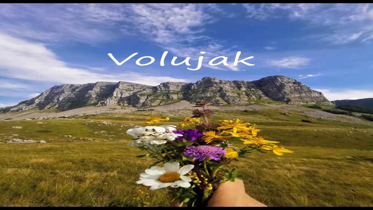 Volujak (Bosnia and Herzegovina, Montenegro) 4K VIDEO Vlog#003