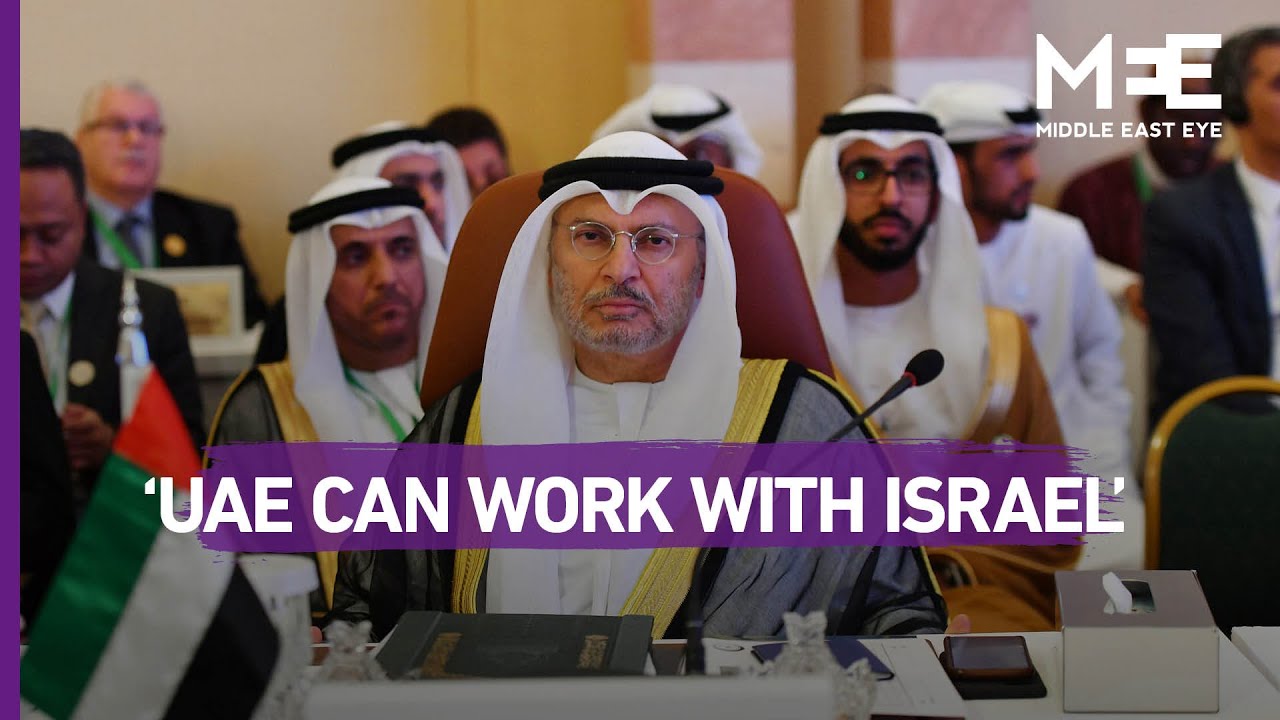 Senior UAE officials says country can &lsquo;work with Israel despite differences&rsquo;