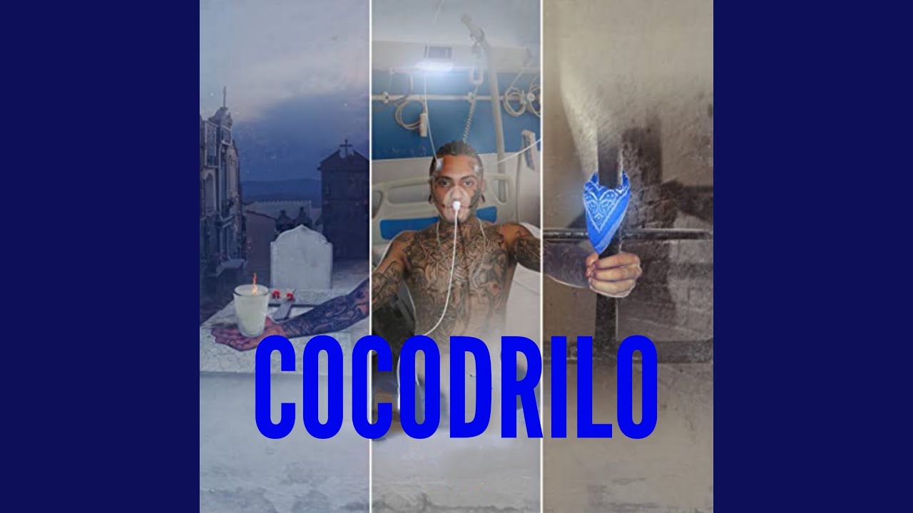 Cocodrilo