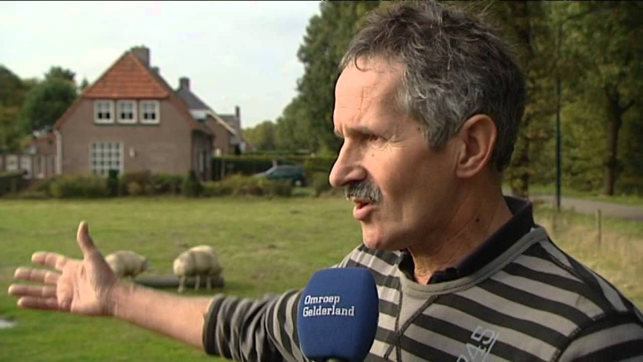 249 gestolen schapen zijn terecht