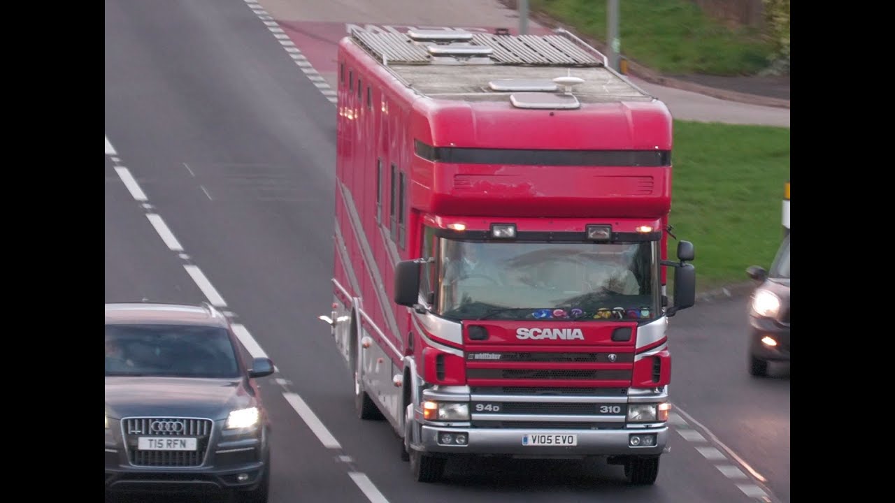 SCANIA 94D 310 - horse transport - A1(M) motorway race - trucks spotting