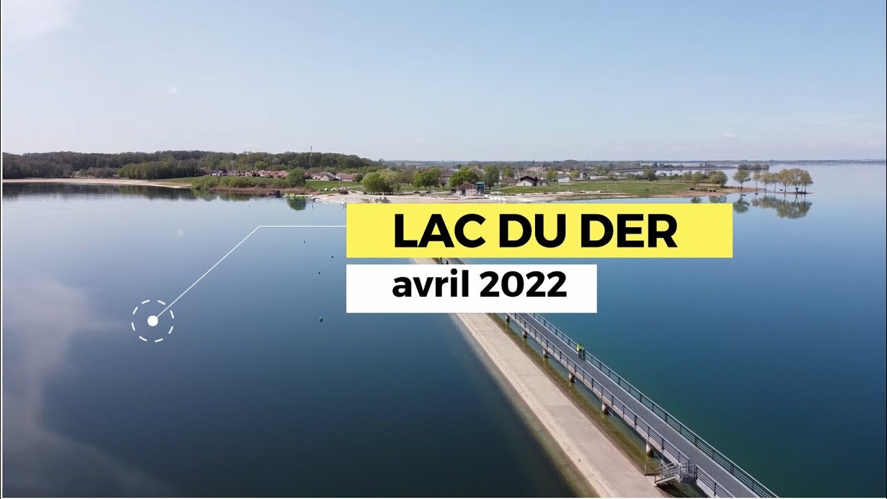 Lac du Der - avril 2022