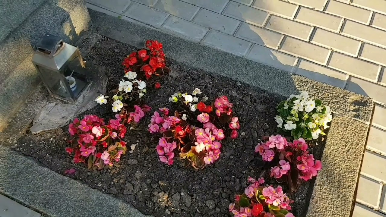 День памяти Святителя Луки Крымского − 11 июня. Показываю могилку Святого, исцеляющего тысячи людей.