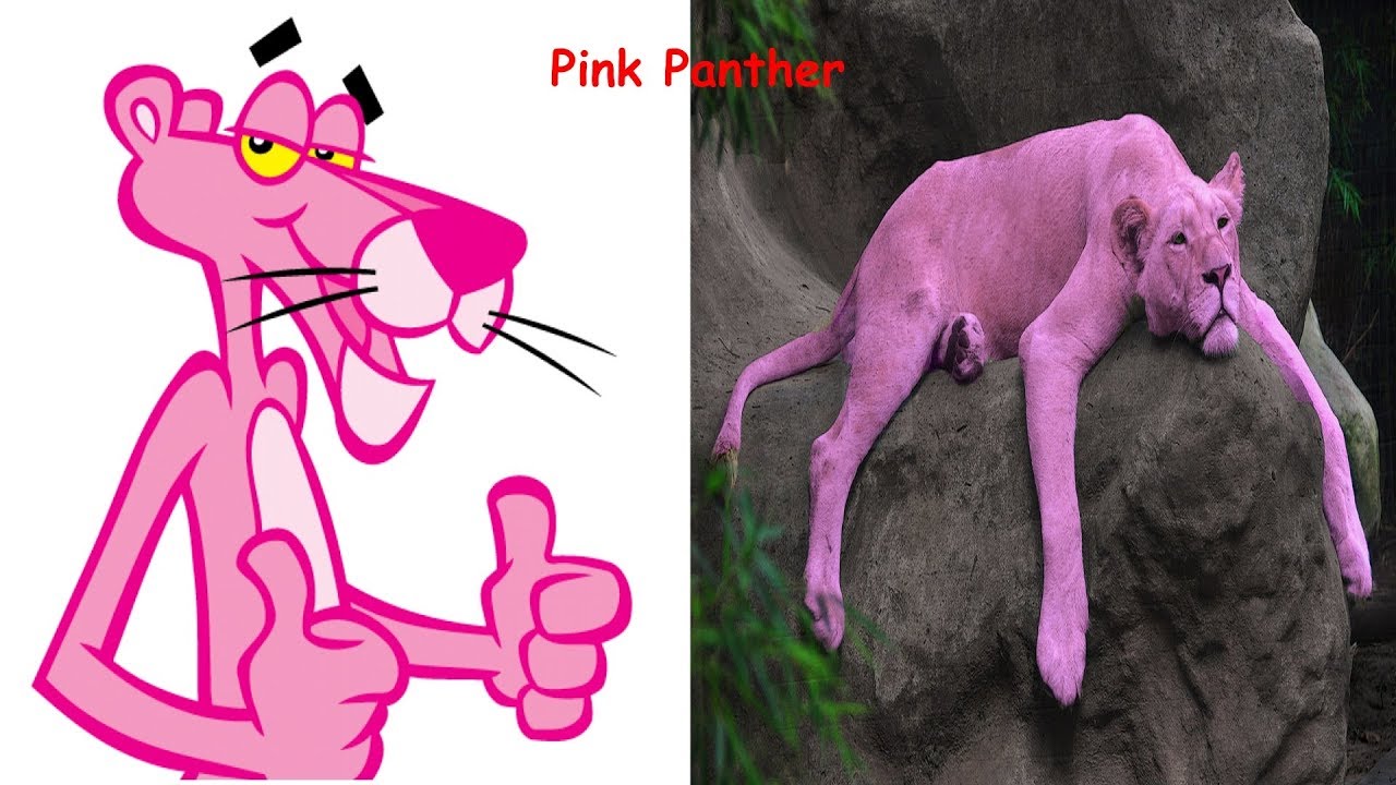 Pink Panther And Pals Characters In Real Life