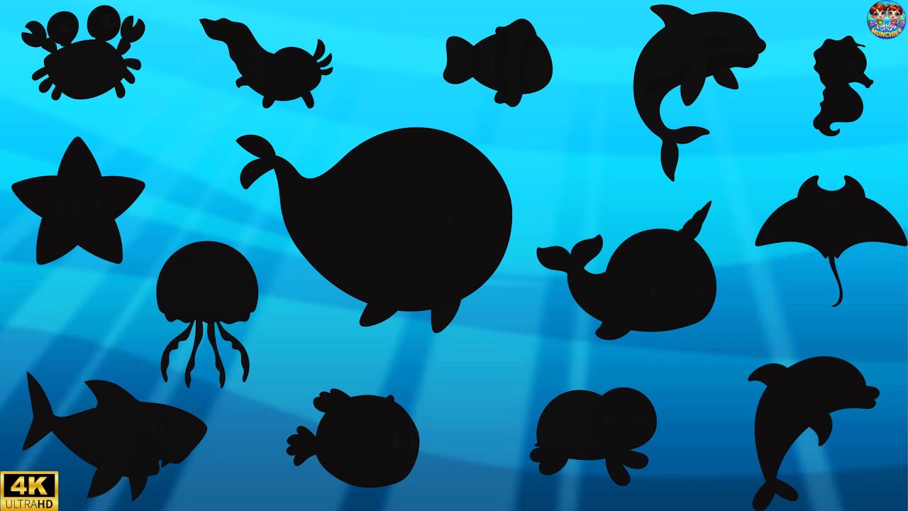 🦈🐠 Can You Guess the Sea Animal Shadows? | Fun Quiz Game for Kids! 🐢🐬