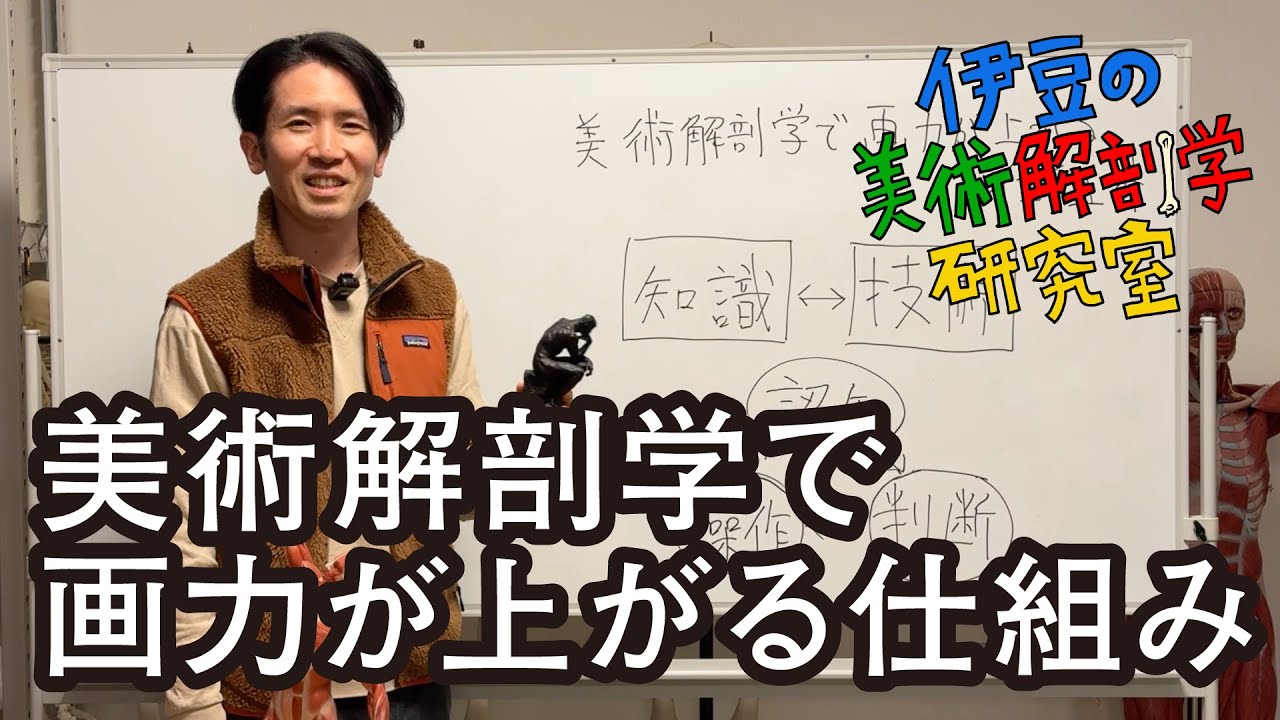 【トーク解説】美術解剖学で画力が上がる仕組み
